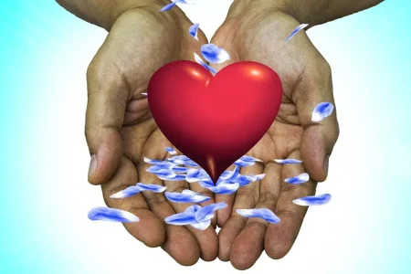 Seven Important Cardiovascular Disease Innovations of the 20th Century