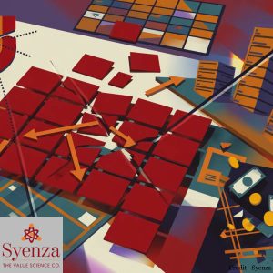 SINACC Access Reform